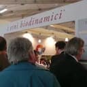 Falsi problemi e vecchie polemiche: il senso di partecipare a Vinitaly